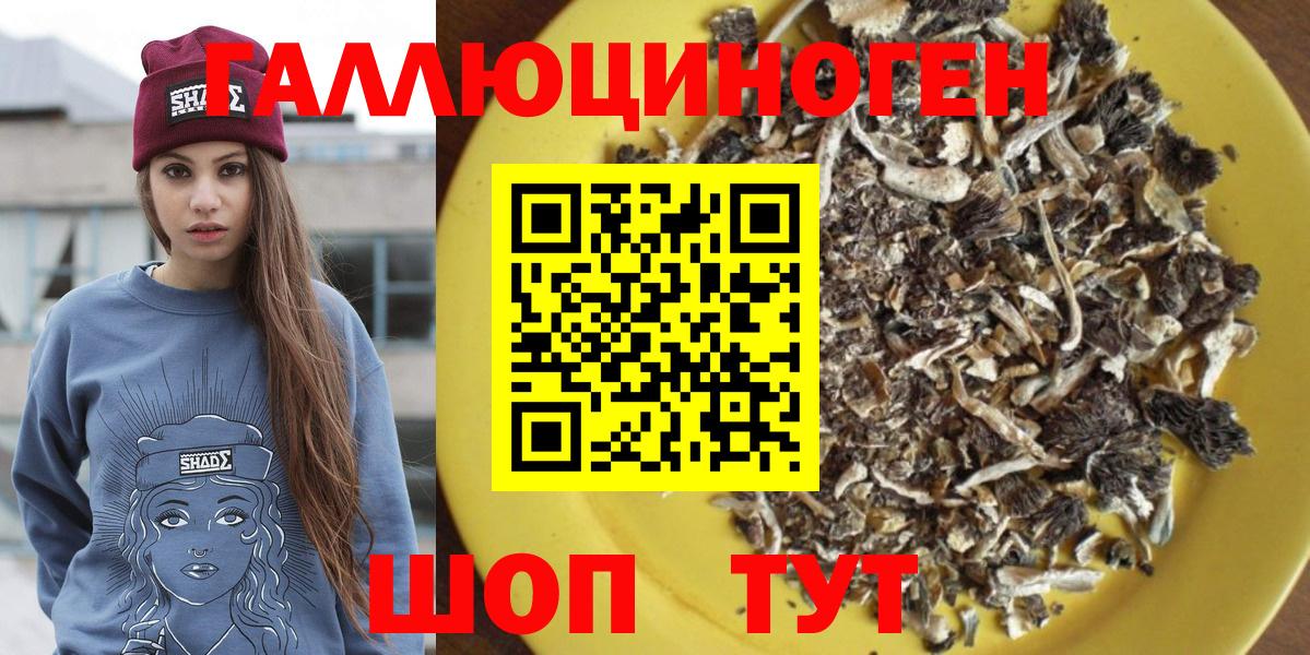 Псилоцибиновые грибы мухоморы Берёзовский