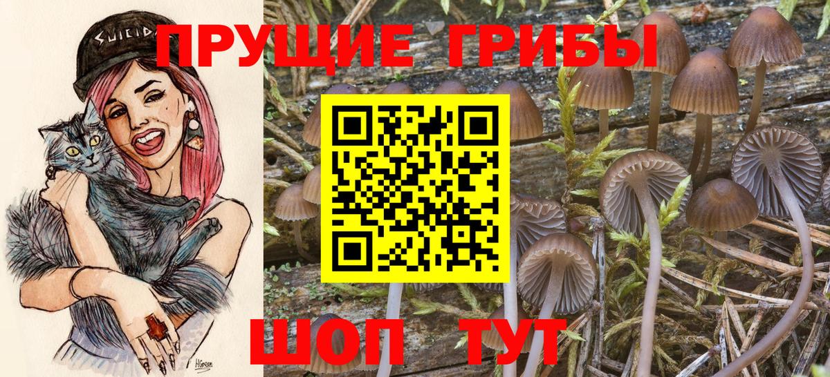 Берёзовский  Галлюциногенные грибы GOLDEN TEACHER  Псилоцибиновые грибы мухоморы  Вход с VPN 
